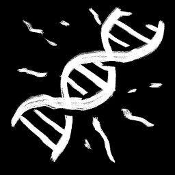 The Perfect Specimen