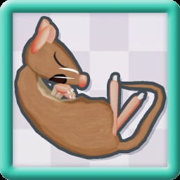 Icon for Sleep...NOW