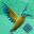 Bird Feather: Aquamarine World icon