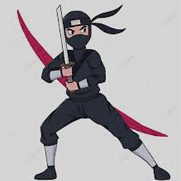 Icon for Are you a ninja?