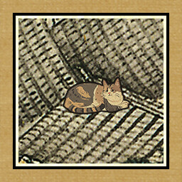 Icon for 40 cat