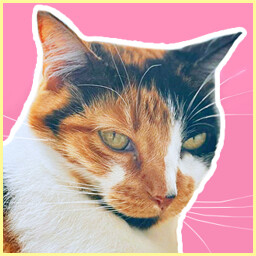 Icon for Listen Lily