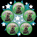 Icon for Once is never enough