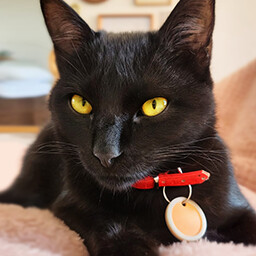 Icon for Found Sabbath