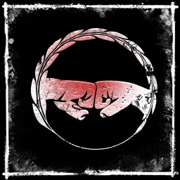 Collaborator IV