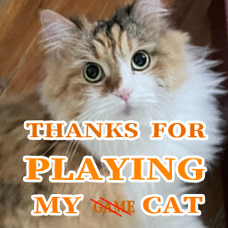 Thanks for playing my cat achievement icon for Sensei! I Like You So Much!