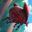Greed Forest icon