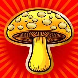 Icon for The Gold Mushroom