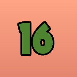 Level 16