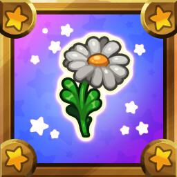 Sonhando com meu futuro amor