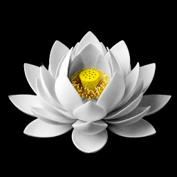 samādhi