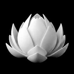 pīti
