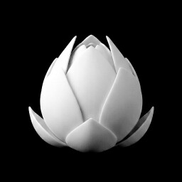 viriya