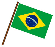 Icon for Welcome to Brazil