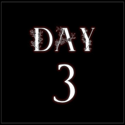 Day 3