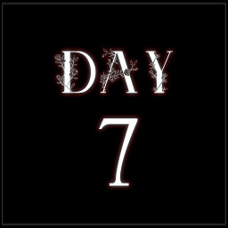 Day 7