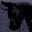 Love Eternal icon