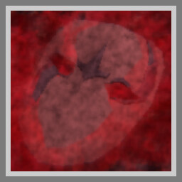 What Did You Expect?