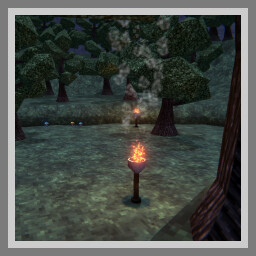 Enter Mourning Forest