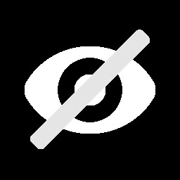 Icon for Blind Spot