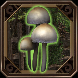 Cuidado con los champi�ones