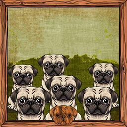 Icon for You got 6 Pugs!