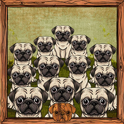 Icon for You got 12 Pugs!