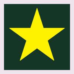 Icon for STAR COLLECTOR