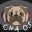 Classified Chaos icon