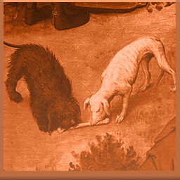 Icon for Two dogs over one bone