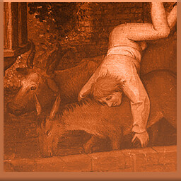 Icon for Fall from the ox onto the rear end of an ass