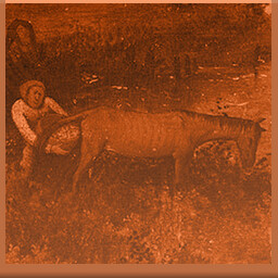 Icon for Horse droppings are not figs