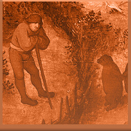 Icon for Seeing dancing bears