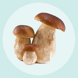 Icon for Mushroom Enthusiast