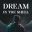 Dream in the Shell icon