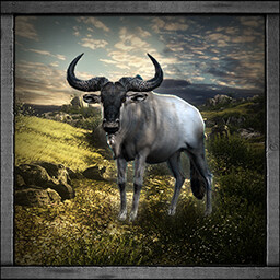 Icon for Wildebeest Hunter