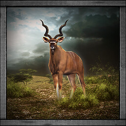Icon for Kudu Hunter