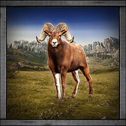 Icon for Bighorn Sheep Hunter
