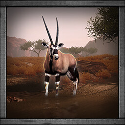 Icon for Gemsbok Hunter
