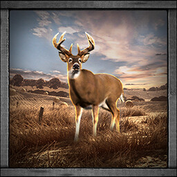 Icon for Whitetail Hunter