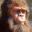 Bigfoot Life icon
