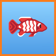 Icon for Scarlet Badis