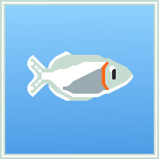 Icon for Murray Rainbowfish