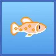 Icon for Creamsicle Molly