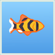 Icon for Tiger Barb