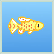 Icon for Golden Topminnow