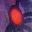 Coral & The Abyss icon