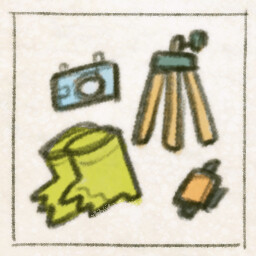 Camera Ready! achievement icon for Find My Frogs