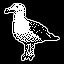 Icon for Miss Seagull