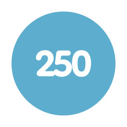 Icon for Point 250